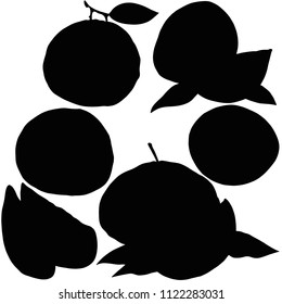 
Fruit grapefruit, vector, silhouette