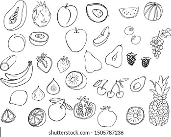 Fruit, graphic set, line drawing, Papaya, dragon fruit, plum, watermelon, banana, ect. Vector illustration. 