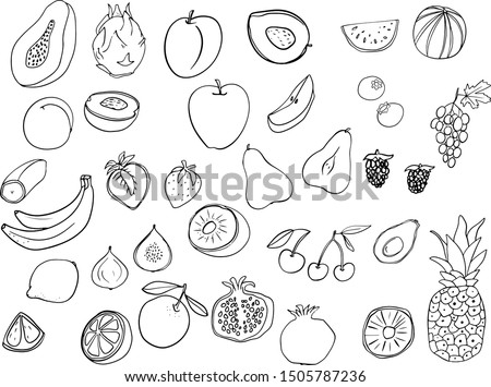 Fruit, graphic set, line drawing, Papaya, dragon fruit, plum, watermelon, banana, ect. Vector illustration. 