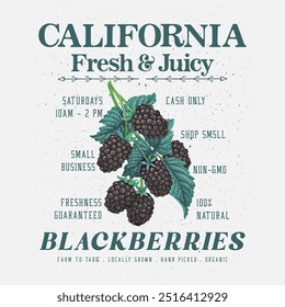 Fruit graphics, blackberry organic fruits, natural sweet, From California to Paris, girls graphic tee print design, women's vector graphics design, food fashion trendy graphics for t-shirt design