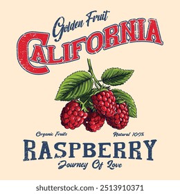 Gráficos de frutas, frutas orgánicas de frambuesa, natural dulce, De California a París, diseño gráfico de camisetas para niñas, diseño gráfico de Vector para mujeres, diseño de moda de alimentos para el diseño de camisetas