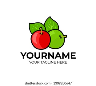 Fruit, green and red apple with leaves, logo design. Organic food, vegetarian, healthy eat, agriculture and farming, vector design and illustration