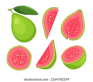 Fruit guava isolated on white background