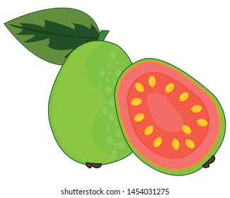 Fruit guava on white background is insulated