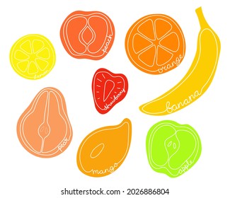 Fruit halves on white background with names. Set of cutaway fruits. Fruit logo or element for design. Vector illustration