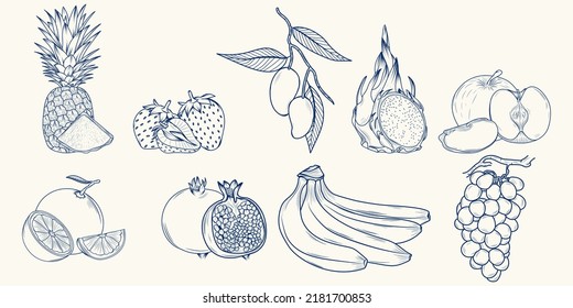 fruit hand drawing sketch set
