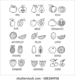 Fruit hand drawn icon set in line style. Perfect vector design elements for decorations, organic food pattern, wrapping paper, bio-products wallpaper. Organic product for healthy food concept 