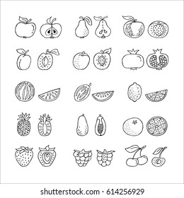 Fruit hand drawn icon set in line style. Perfect vector design elements for decorations, organic food pattern, wrapping paper, bio-products wallpaper. Organic product for healthy food concept 