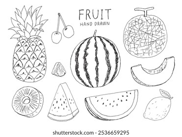 Conjunto de ilustrações desenhado à mão de fruta