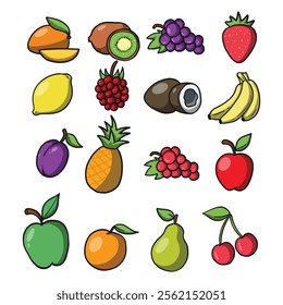 Fruit hand drawn illustration vector