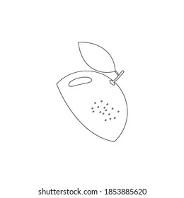 Fruit hand drawn line icon. Lime, lemon, orange or grapefruit linear slice symbol. Healthy exotic food concept. Vector illustration isolated on white.
