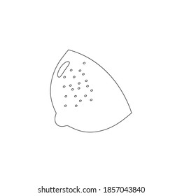 Fruit hand drawn line icon. Lime, lemon, orange or grapefruit linear slice symbol. Healthy exotic food concept. Vector illustration isolated on white.