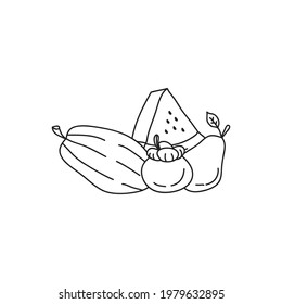 fruit hand drawn in line style. black and white. Perfect vector design elements for decorations, organic food pattern, wrapping paper, coloring book, and etc.