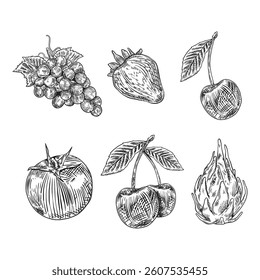 Fruit hand drawn set illustration
