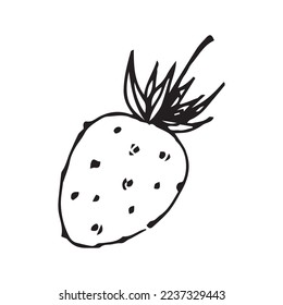 Fruit Hand Drawn Vector Shape