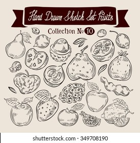 Fruit. Hand drawn vector sketch set food. Vector illustration