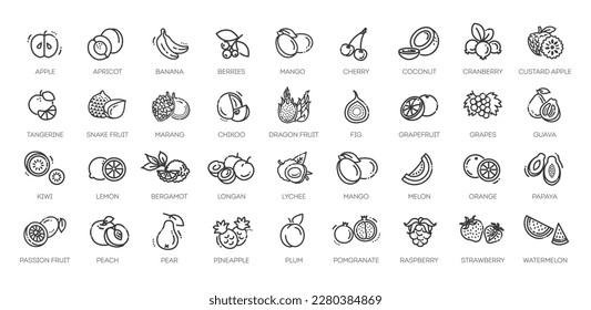 Fruit Healthy eating Thin Line Pack. Vector icons