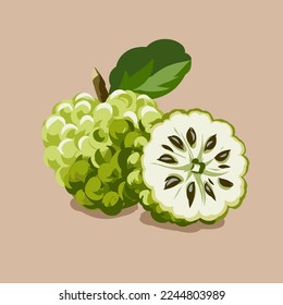 Fruit. Healthy eating. Vector illustration. Sketch