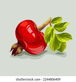 Fruit. Healthy eating. Vector illustration. Sketch