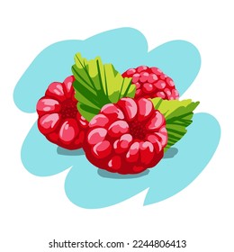 Fruit. Healthy eating. Vector illustration. Sketch
