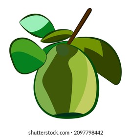 Obstsymbol "Pomelo", weißer Hintergrund, Vektorgrafik