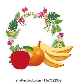 fruit icon cartoon