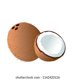 Fruit Icon Coconut White Background Vector Image
