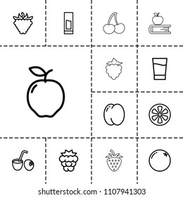 Fruit icon. collection of 13 fruit outline icons such as orange, apple, peach, mulberry, raspberry, lemon, drink, drink coconut. editable fruit icons for web and mobile.