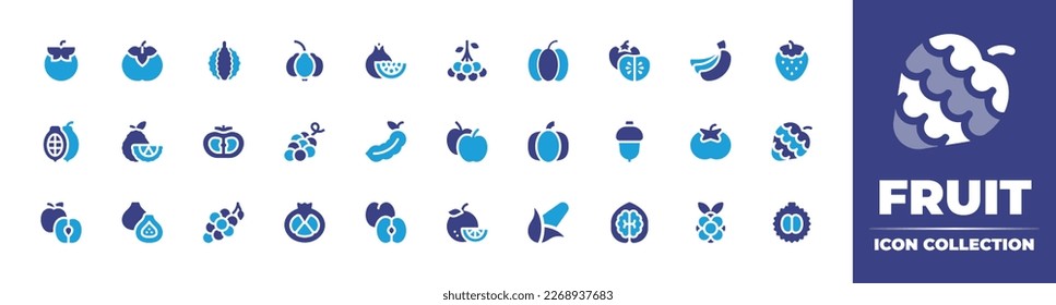 Fruit icon collection. Duotone color. Vector illustration. Containing tomato, persimmon, durian, pitanga, pomegranate, rowan, pumpkin, bananas, strawberry, cacao, bergamot, grapes, tamarind, apples.