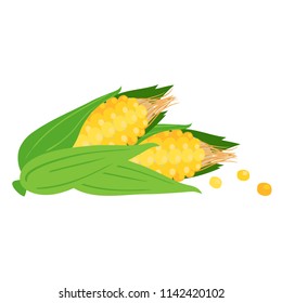 Fruit Icon Corn White Background Vector Image
