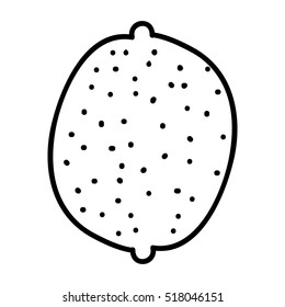 fruit icon image 