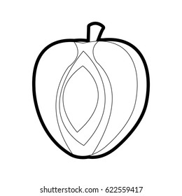 fruit icon image