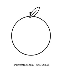 fruit icon image