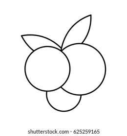 fruit icon image