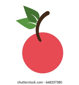 fruit icon image 