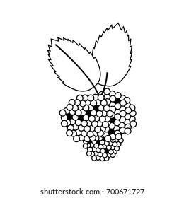 fruit icon image 