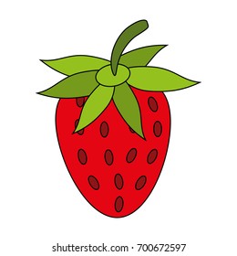 fruit icon image 