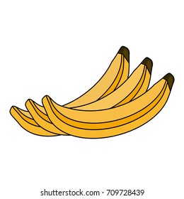 fruit icon image 