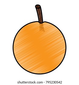 fruit icon image 