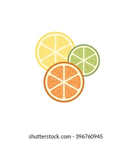 Fruit Icon. Fruit isolated background. Citrus isolated background. Vector illustration fruit. Fresh tropical fruit.