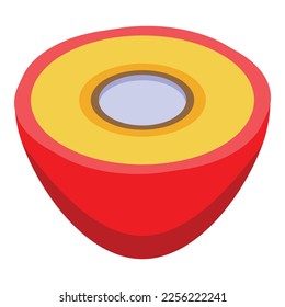 Fruit icon isometric vector. Oil palm. Nut drop