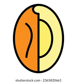 Fruit icon outline vector. Date food. Palm fruit color flat