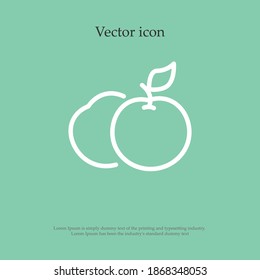 fruit icon, outline vector illustration.