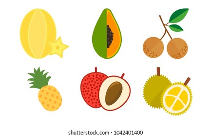  fruit icon pack. Vector Illustration