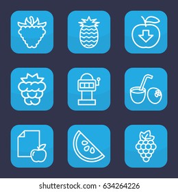 Fruit icon. set of 9 outline fruit icons such as mulberry, grape, raspberry, paper and apple, watermelon, drink coconut, pineapple, apple download