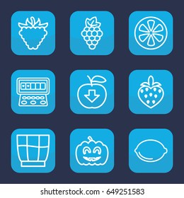 Fruit icon. set of 9 outline fruit icons such as grape, slot machine, raspberry, lemon, strawberry, pumpkin haloween, drink