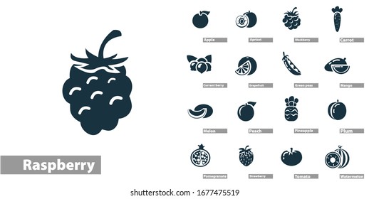 fruit icon set with blackberry, apple, mango, kiwi