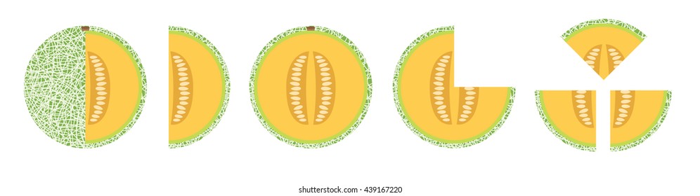 Fruit icon set. illustration whole and sliced melon. flat style. Vector icons.