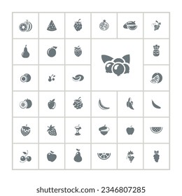 Fruit icon set with mango
