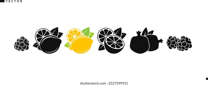 Frucht-Icon-Set. Organischer Lebensmittelvektor. Einzeln Zitronenlippe Granatapfel Tangerine Brombeere und Orangenfrucht auf weißem Hintergrund 